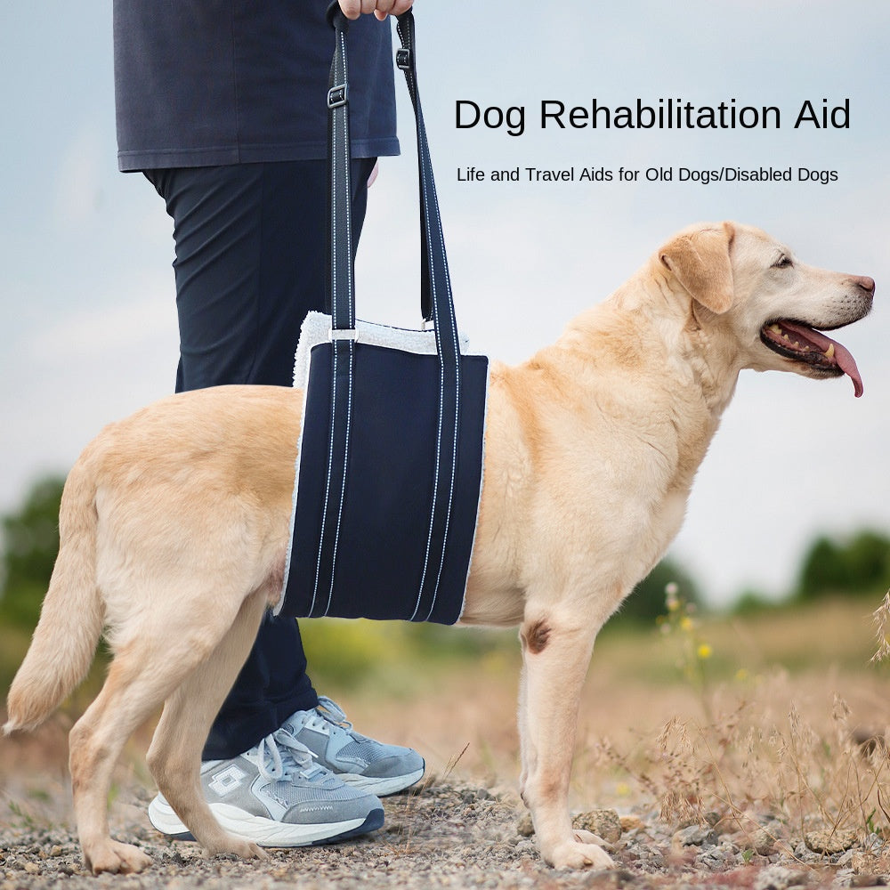 Adjustable dog leash with pet assistance strap