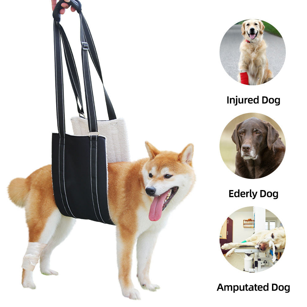 Adjustable dog leash with pet assistance strap